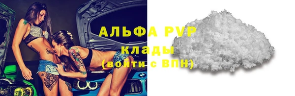 ГАЛЛЮЦИНОГЕННЫЕ ГРИБЫ Сатка