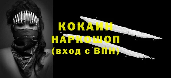 ГАЛЛЮЦИНОГЕННЫЕ ГРИБЫ Семёнов