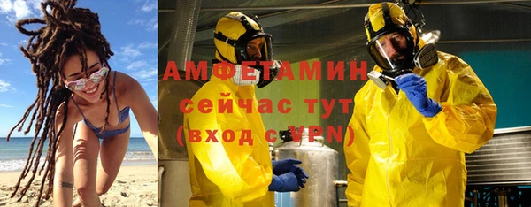 ГАЛЛЮЦИНОГЕННЫЕ ГРИБЫ Семёнов