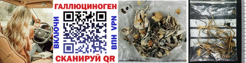 Галлюциногенные грибы MAGIC MUSHROOMS купить закладку Бородино